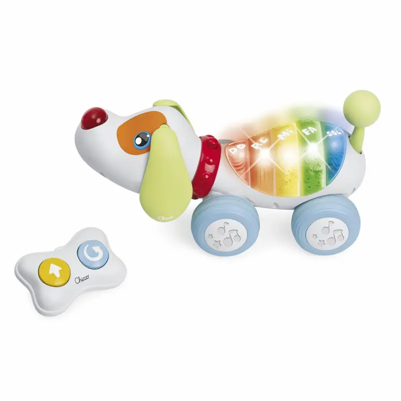 DogReMi RC Chicco