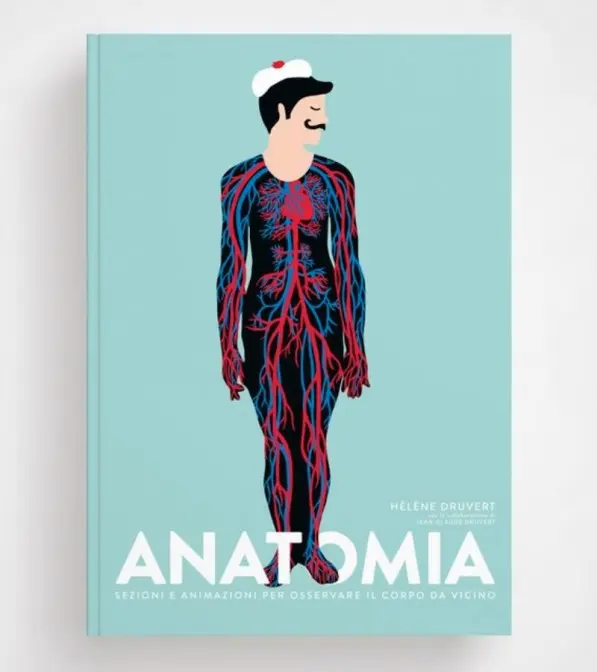 Hélène Druvert - Anatomia